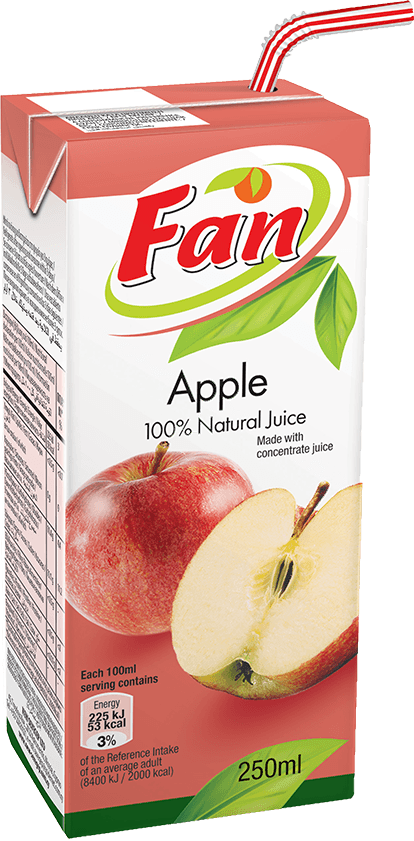 FAN Apple Juice 100% 250ml